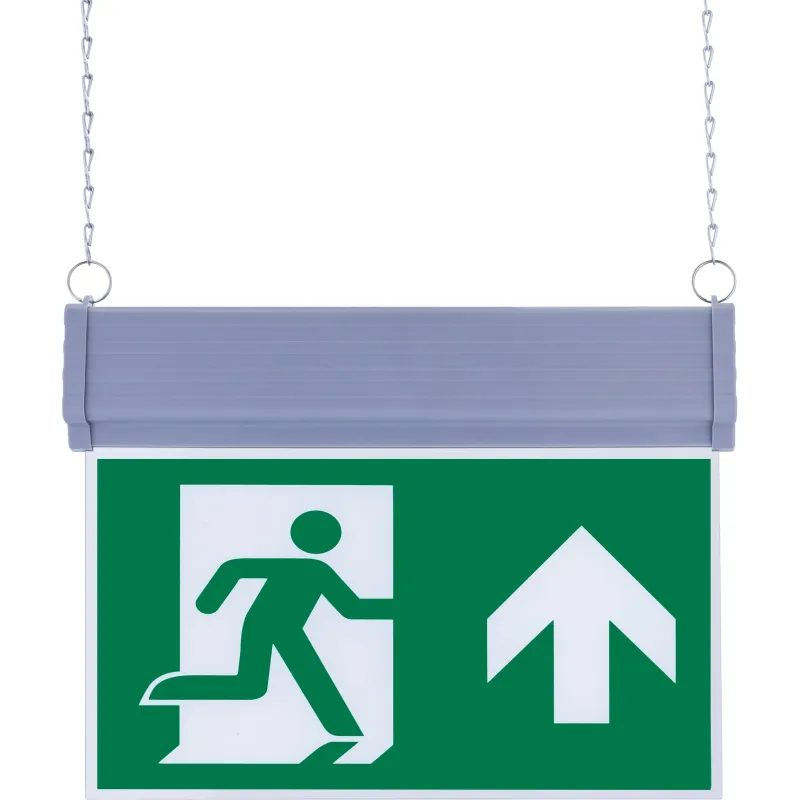 SG053 Çift Yönlü Acil Yönlendirme Armatürü Zincirli Yukarı