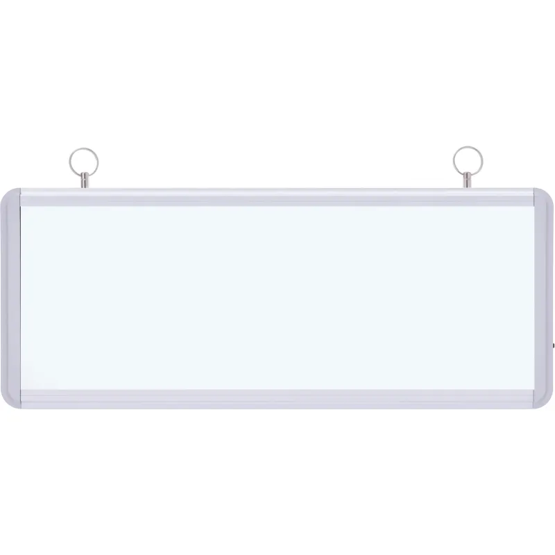 SG030 Boş Camlı Acil Yönlendirme Armatürü