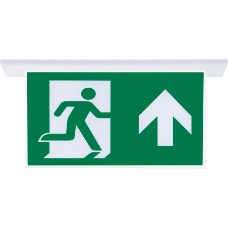 SG053-SA Çift Yönlü Acil Yönlendirme Armatürü Sıvaaltı Aparatlı Yukarı